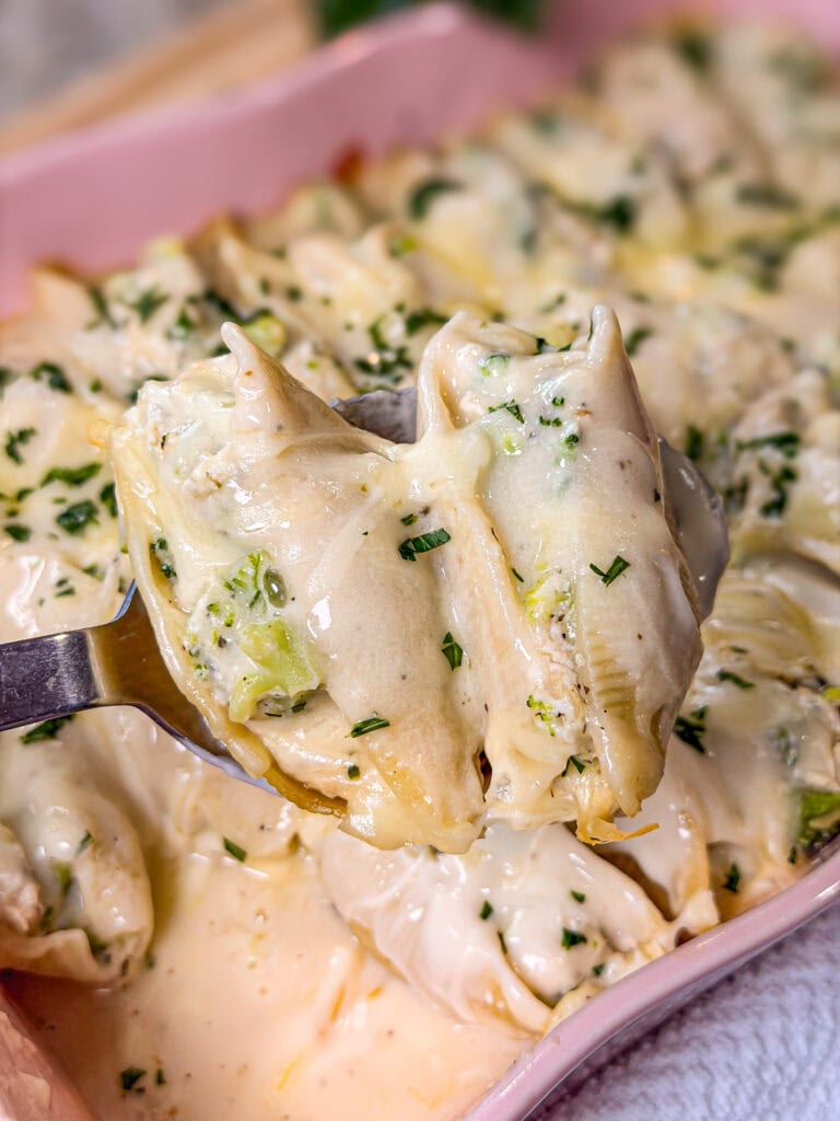 A close-up of creamy Chicken Alfredo Stuffed Shells garnished with chopped herbs, held on a spoon above a baking dish filled with more shells in a rich, white sauce.