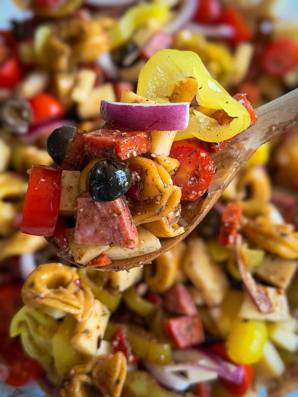 A wooden spoon holds a serving of Italian Sub Pasta Salad with tortellini, salami, olives, red onions, cherry tomatoes, peppers, and cheese, with more salad blurred in the background.
