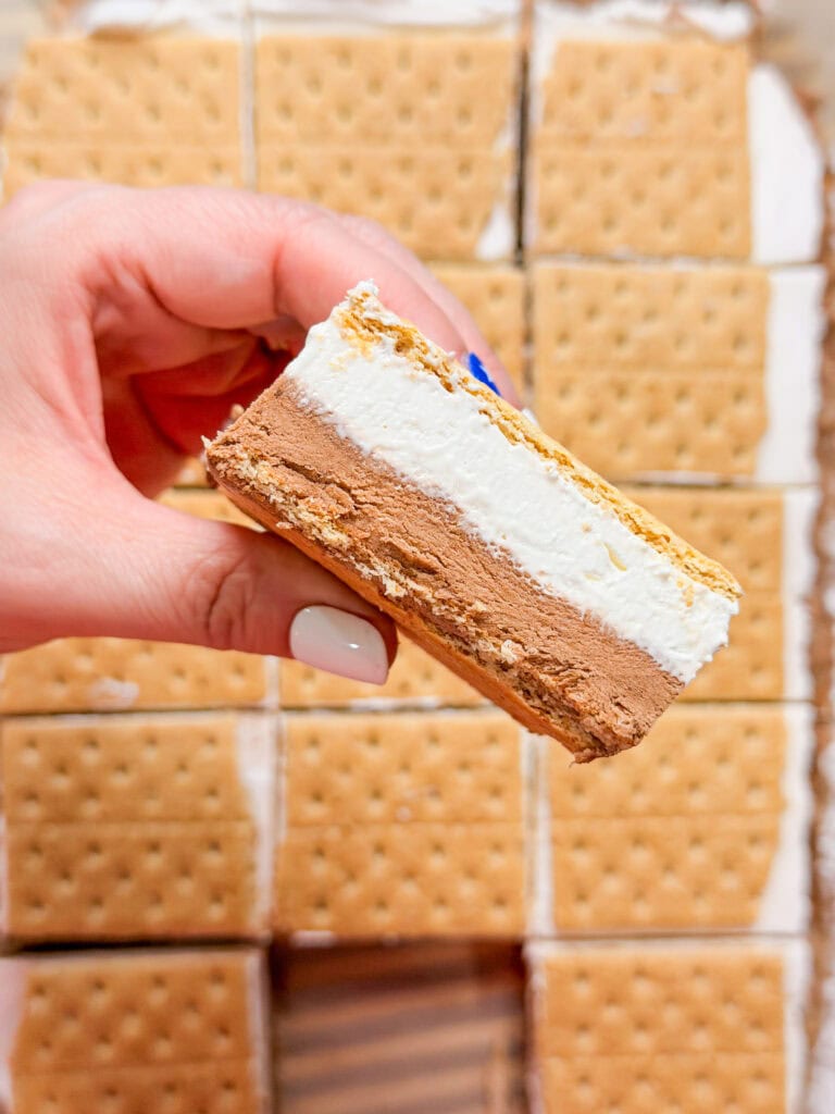 A hand holding a Frozen S'mores ice cream sandwich—chocolate and vanilla ice cream layered between two graham crackers—with more Frozen S'mores sandwiches visible in the background.