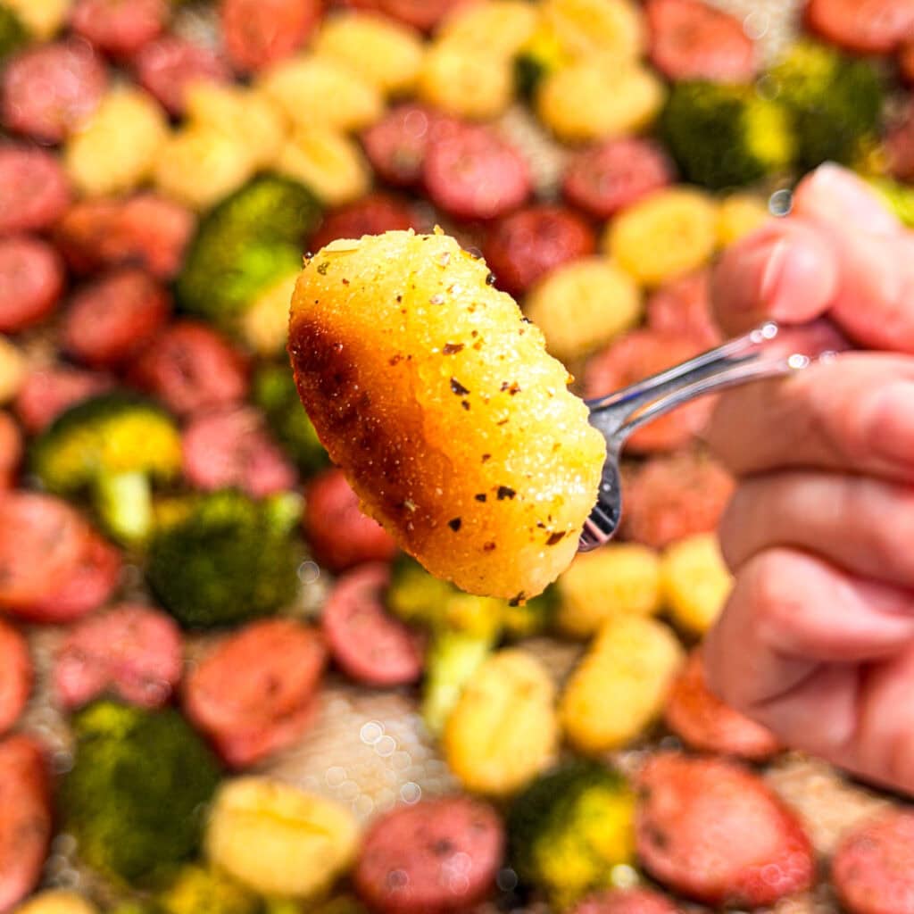 A hand holds a fork with a single, golden-brown, seasoned gnocchi, centered in the frame. In the blurry background, a baking sheet is filled with more roasted gnocchi and bright green broccoli florets—a delicious scene from a classic Sheet Pan Sausage and Gnocchi dinner.