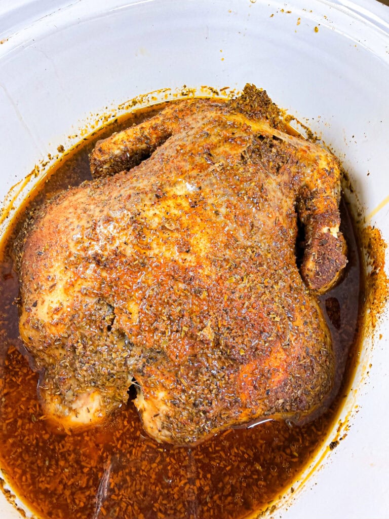A whole cooked Mardi Gras Crock Pot Chicken covered in herbs and spices sits in a white slow cooker with a pool of seasoned broth at the bottom.