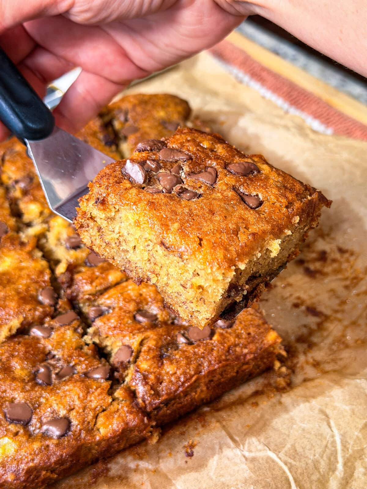 A hand holds a spatula lifting a thick slice of chocolate chip banana bread from a parchment-lined tray. Reminiscent of Banana Chocolate Chip Cookie Bars, the bread looks moist with visible chocolate chips on top.
