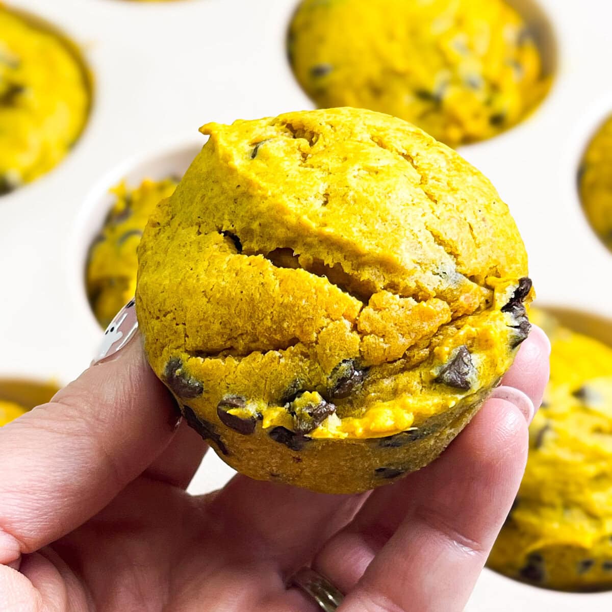 Soft, moist Pumpkin Chocolate Chip Muffins made in one bowl! Easy fall baking recipe with warm spice and melty chocolate — perfect for breakfast or snacks.