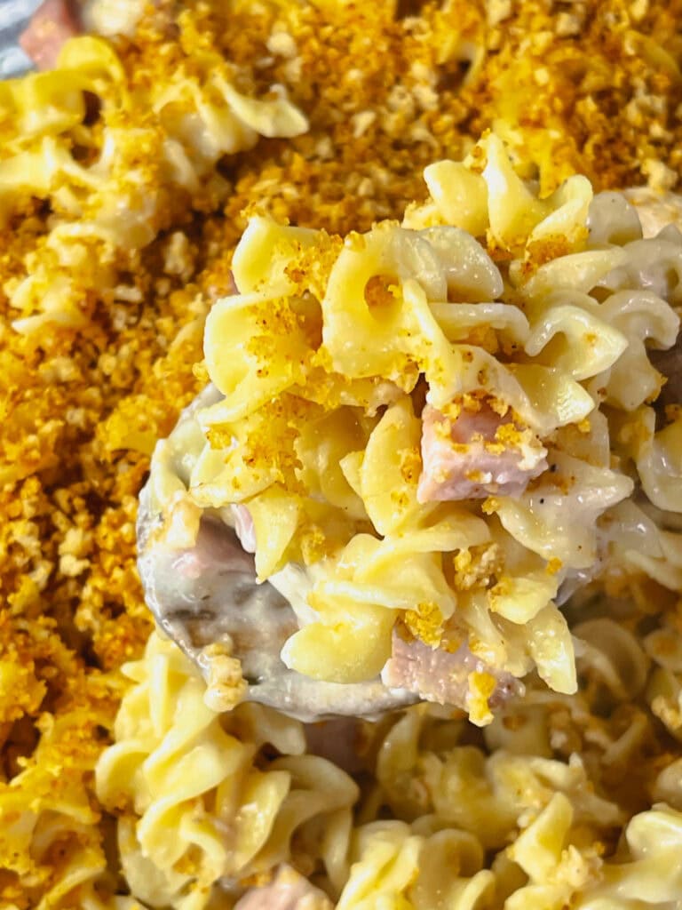 Close-up of a creamy Chicken Cordon Bleu Casserole with chicken, ham, and noodles under a toasted Panko topping.