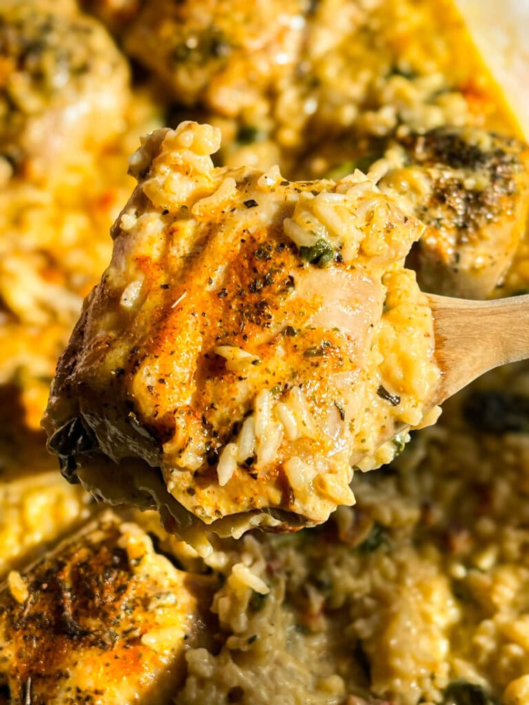 close up of a seasoned chicken thigh baked with rice