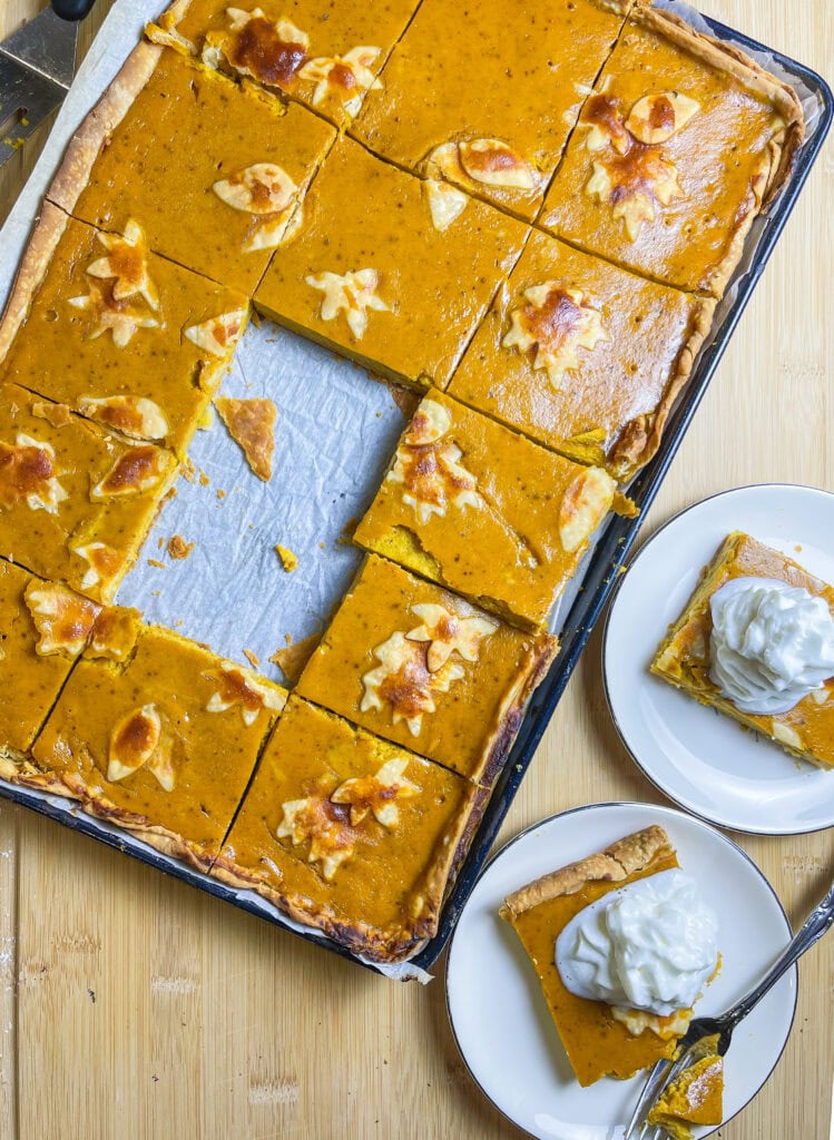 pumpkin pie made in a sheet pan topped with whipped cream
