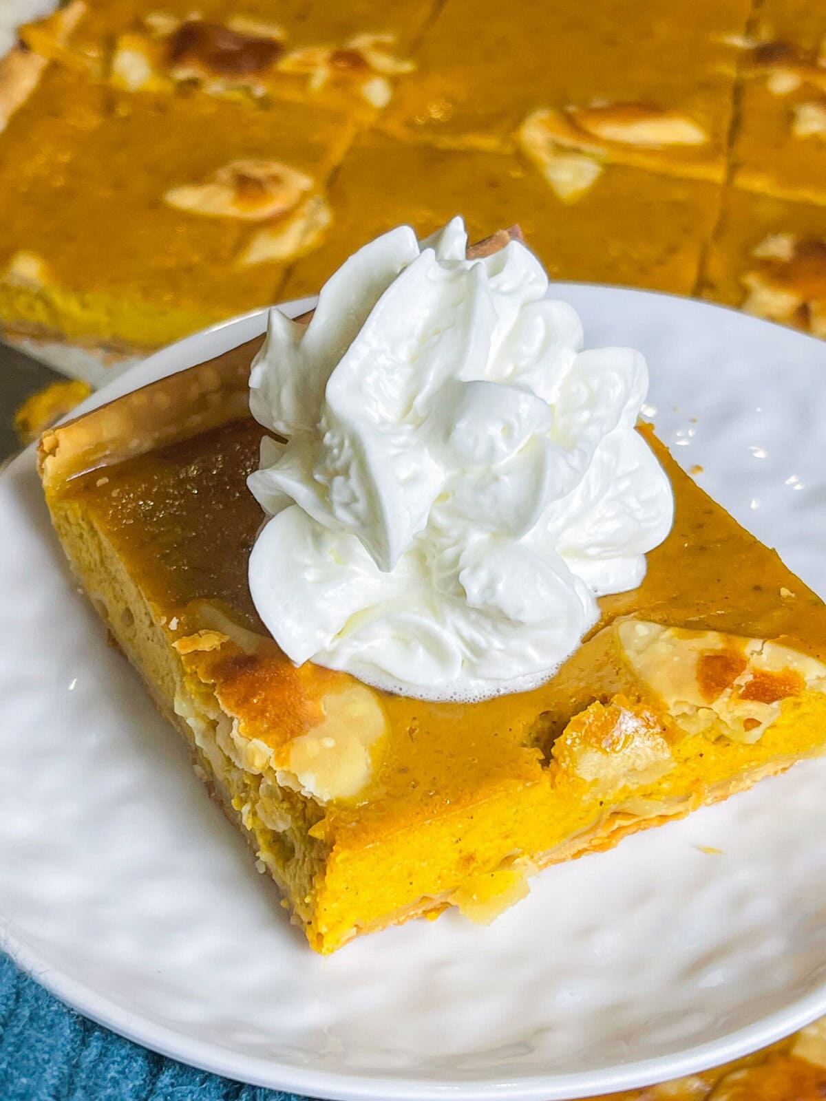 pumpkin pie made in a sheet pan topped with whipped cream