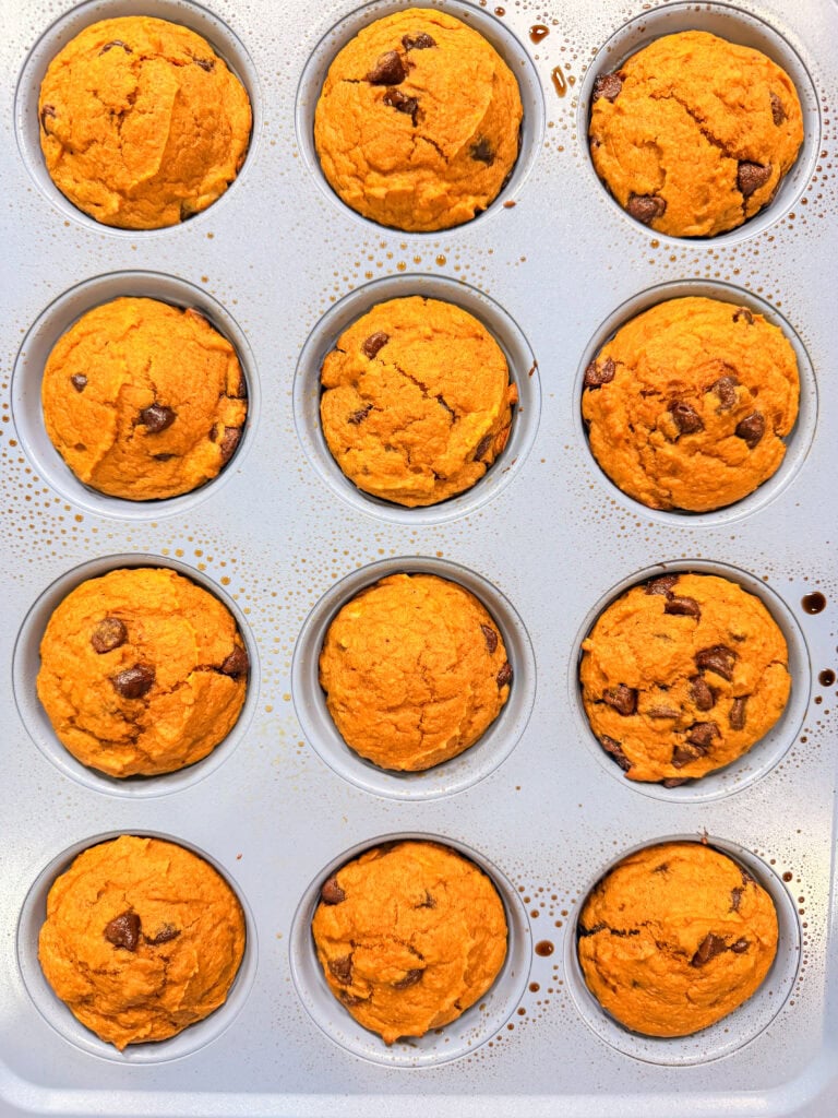 A muffin tin filled with twelve freshly baked Pumpkin Chocolate Chip Muffins, golden orange in color, still in their baking tray.