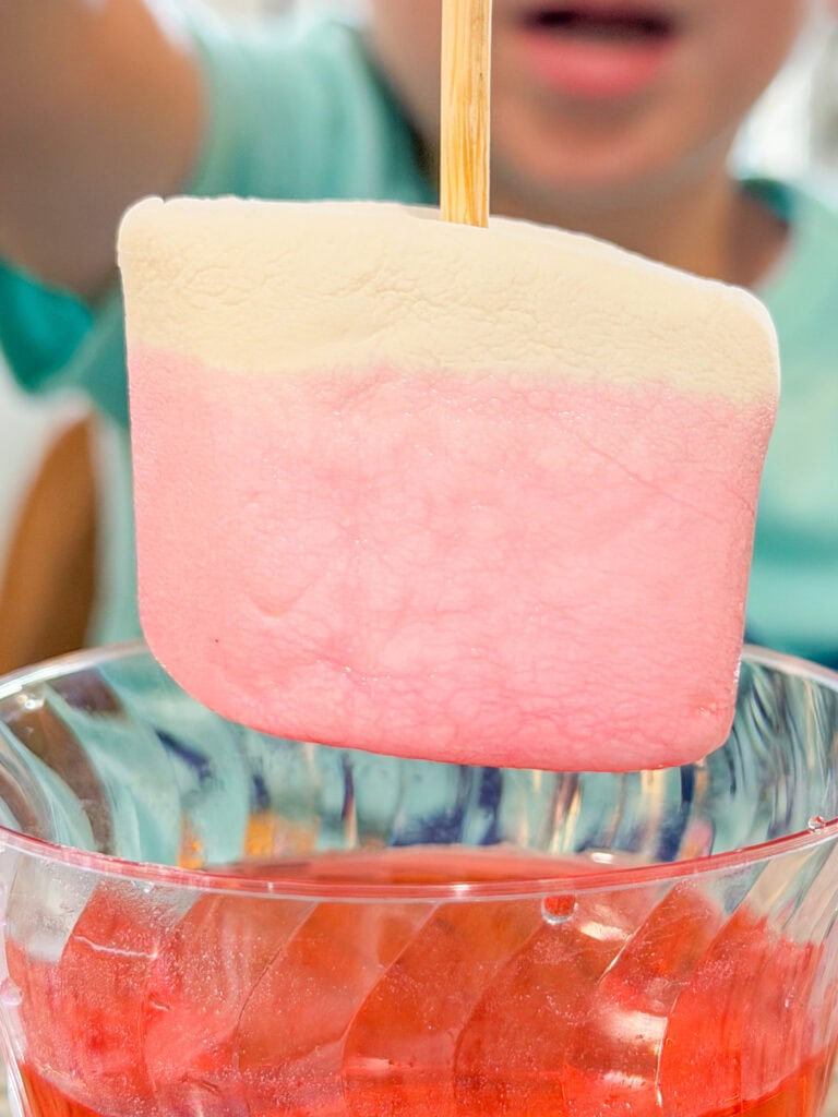A child holds a pink and white marshmallow on a stick above a glass bowl filled with a red liquid. The focus is on the marshmallow, with the childs face blurred in the background.