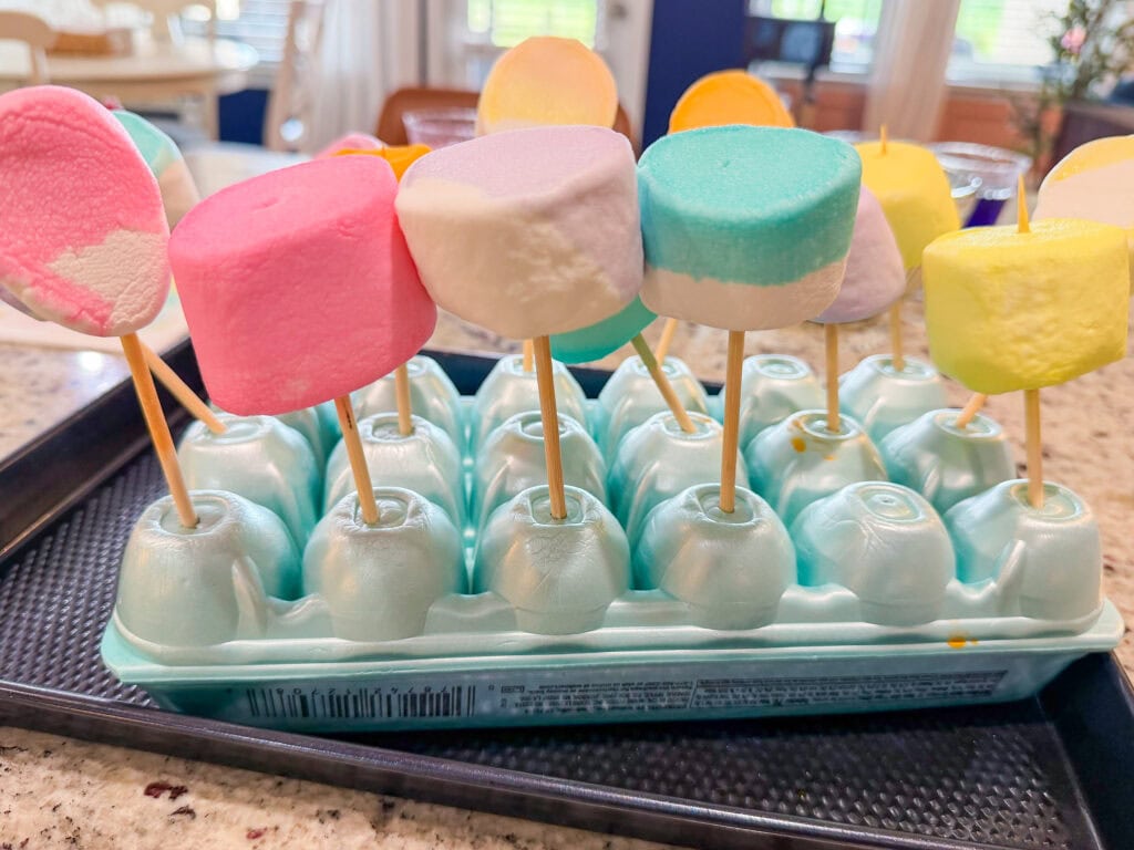 Large pastel-colored marshmallows on sticks are displayed upright in an empty blue egg carton on a kitchen counter. The egg carton helps hold the marshmallow pops in place.