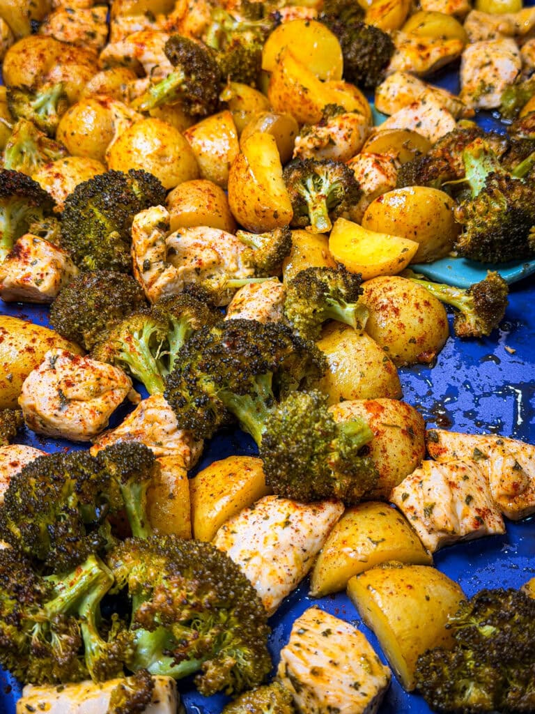 Roasted broccoli, yellow potatoes, and chicken breast pieces seasoned with spices and arranged on a blue baking tray, ready to be served.
