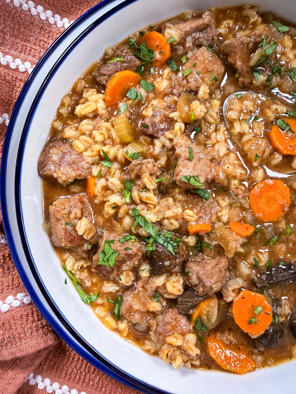 A close-up of beef and barley stew with chunks of beef, carrots, celery, barley, and fresh herbs in a white bowl on a rust-colored cloth.